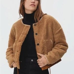 Everlane Camel Teddy Button-Up Jacket